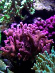 31_10_2004 012.jpg