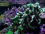 31_10_2004 013.jpg