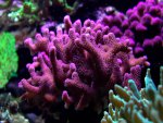 31_10_2004 015.jpg