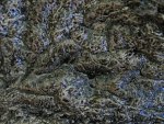 nieuw_aquarium_040.jpg