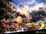 24-01-2006 035.jpg