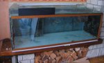 nieuw aquarium 101.jpg
