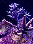 IMG_1380.jpg