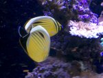 IMG_1452.jpg