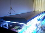 ForumRunner_20130429_165309.jpg