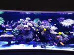 IMG_1655.jpg