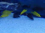 IMG_1740.jpg