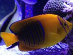 IMG_1731.jpg