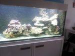 20130620_064612.jpg