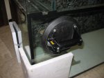 nieuw aquarium 016.jpg