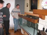nieuw aquarium 019.jpg