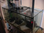 nieuw aquarium 025.jpg