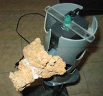 nieuw aquarium 035.jpg