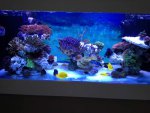 IMG_1834.jpg
