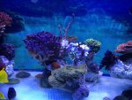 IMG_1836.jpg