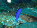IMG_1328.jpg