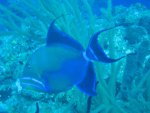 IMG_1348.jpg
