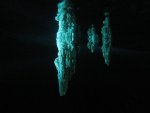 IMG_1603.jpg