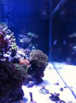 IMG_0848.jpg