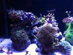 IMG_0852.jpg