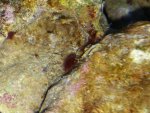 20131007_203359.jpg