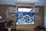 Aquarium vins.JPG