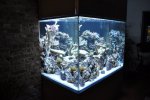 triton tanks 061.JPG