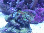DSC_0757.jpg