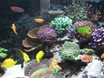 2013-10-19 12.38.57.jpg