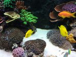 2013-10-19 12.39.17.jpg