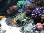 2013-10-19 14.04.28.jpg