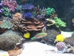 2013-10-19 14.05.15.jpg