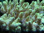 DSC_0314.jpg DSC_0314.jpg