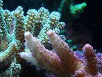 20131103_204151.jpg 20131103_204151.jpg