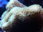 20131103_204218.jpg 20131103_204218.jpg