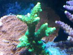 20131103_204334.jpg 20131103_204334.jpg