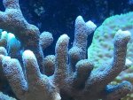 20131103_204407.jpg 20131103_204407.jpg