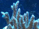 20131103_204416.jpg 20131103_204416.jpg