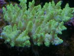 DSC_0231.jpg DSC_0231.jpg