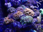 IMG_2033.jpg
