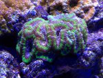 IMG_2034.jpg