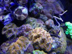 IMG_2094.jpg
