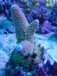 DSC_0012.jpg DSC_0012.jpg
