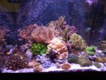 FTS nov 2013.jpg