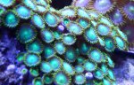 nuclear.jpg