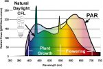 daylightcflcurve.jpg daylightcflcurve.jpg