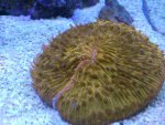 DSC_0765.jpg