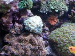 2013-12-04 19.13.05.jpg