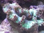 2013-12-04 19.19.50[0].jpg