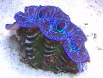 2013-12-04 19.23.09[0].jpg